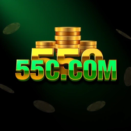 55C.COM