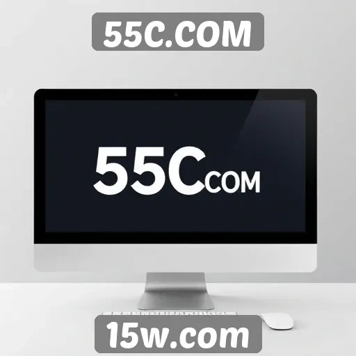 Principais recursos de usabilidade do 55C.COM